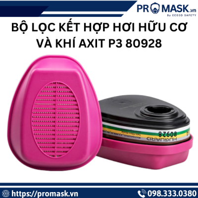 Bộ lọc kết hợp hơi hữu cơ và khí axit P3 80928